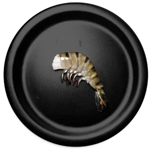 Black Tiger Shrimp – HLSO