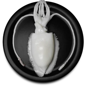 Cuttlefish Whole Cleaned