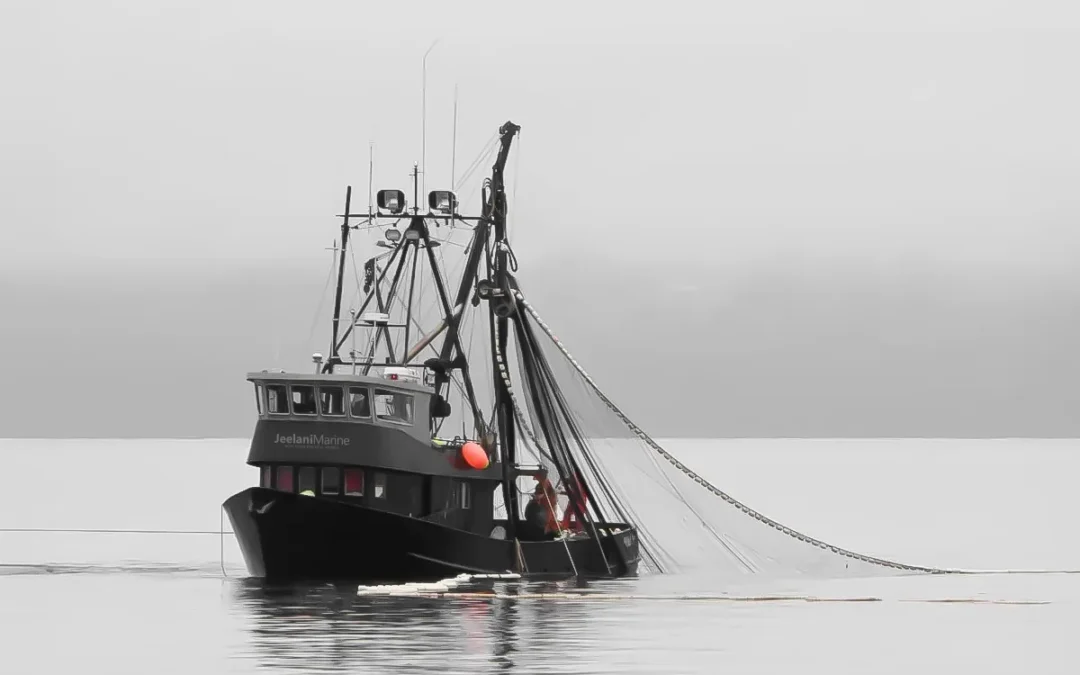 Fishing Fleet