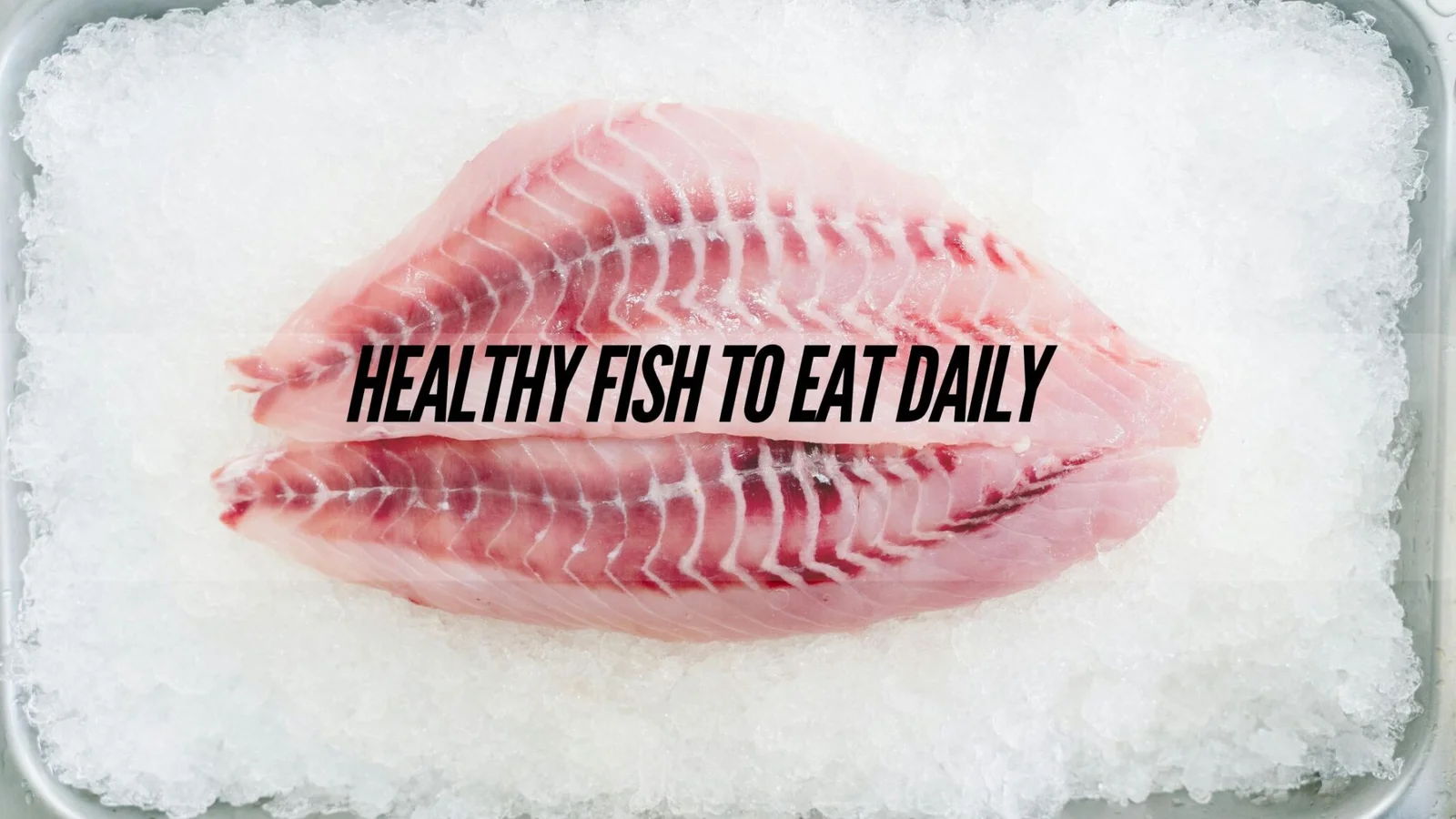 6 Healthy Fish to Eat Daily: Guide to Nutritious Seafood Choices