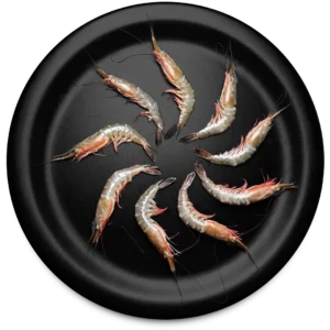 Karikadi Shrimp