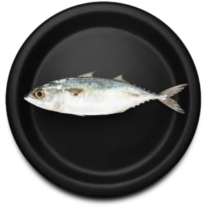 Mackerel