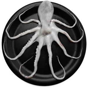 Octopus Whole