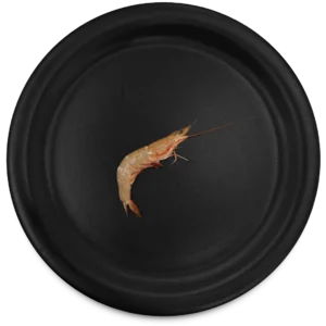 Pink Brown Shrimp