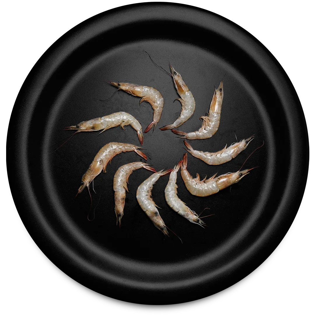 Poovalan Shrimp