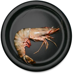 Sea Tiger Shrimp